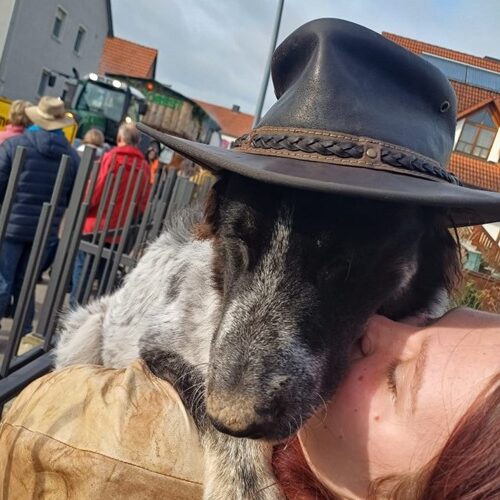 WhatsApp Bild 2024-02-20 um 13.24.42_79e13d92